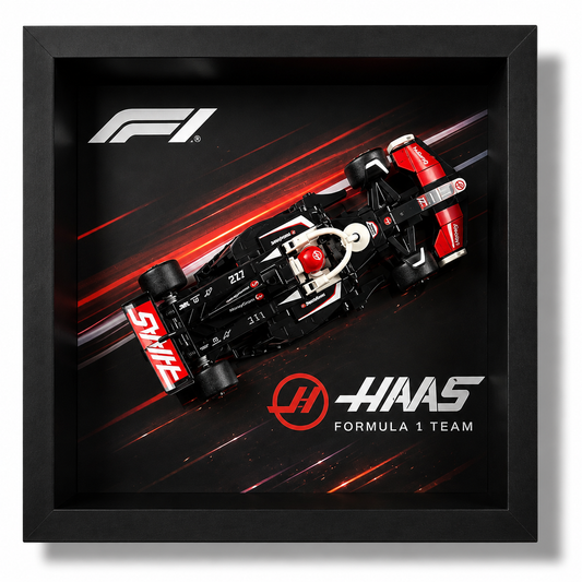 Cadre LEGO Speed Champions Haas VF-24 F1 77250 25x25 avec monoplace exposée